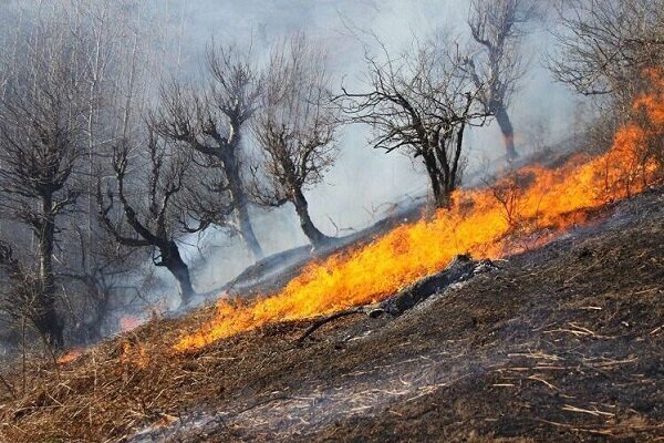 مهار آتش‌سوزی های جنگلی در غرب و جنوب غرب کشور - خبرگزاری مهر | اخبار ایران و جهان