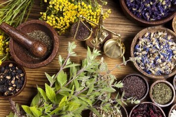 بیماری | گیاه معرفی داروهای گیاهی برای بهبود بیماریهای دهان