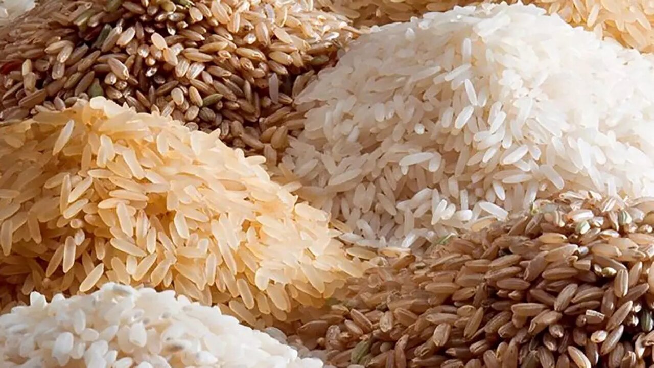 ۲۰۰ هزار تن برنج در انتظار مجوز ترخیص - خبرگزاری مهر | اخبار ایران و جهان