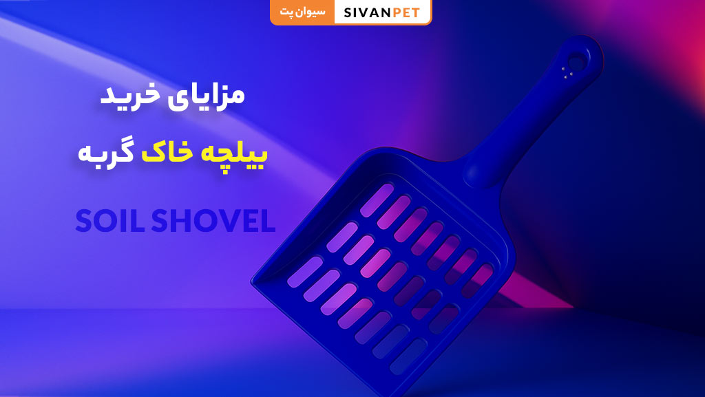 مزایای خرید بیلچه خاک گربه از سیوان پت